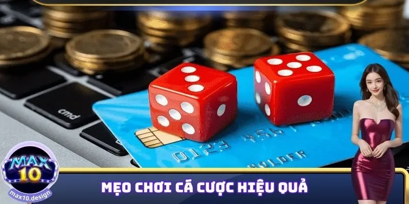 Xóc Đĩa MAX10 - Luật Lệ Hấp Dẫn Của Trò Chơi Top 1 Nhà Cái 3 Mẹo chơi Xóc đĩa MAX10 hiệu quả cao